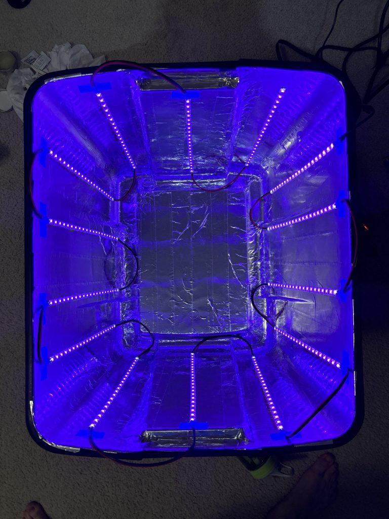 Voila!