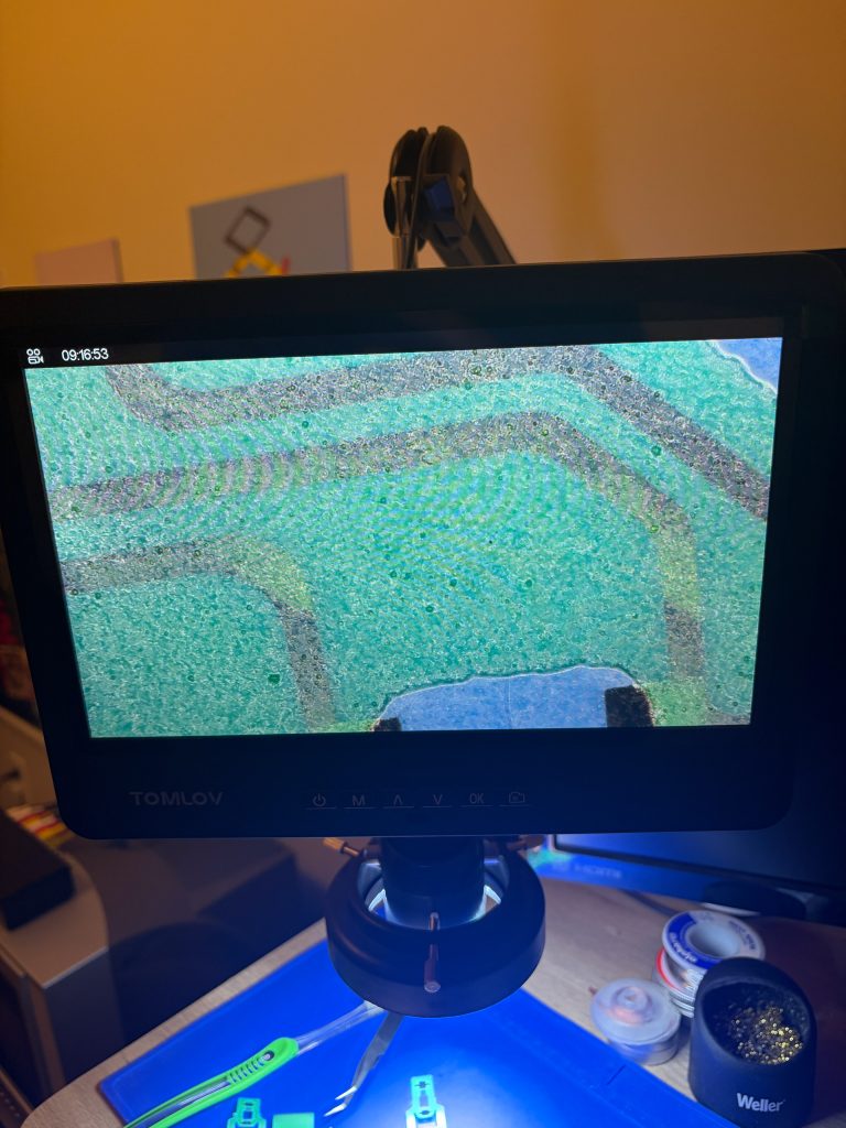 Under the microscope
